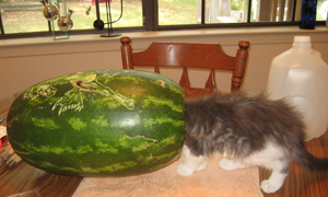 Meea In Watermelon