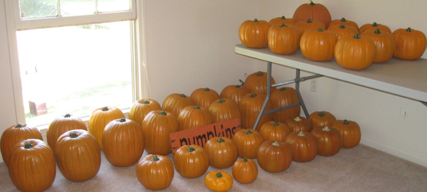 Another Pumpkin Storage