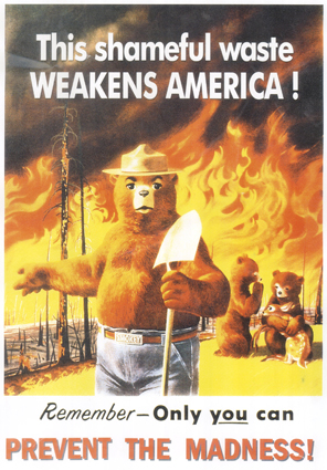 Only You Can Prevent Forest Fires !