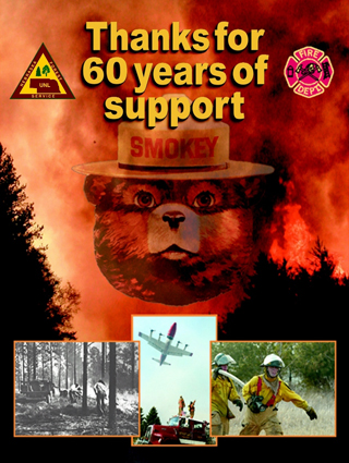 Only You Can Prevent Forest Fires !